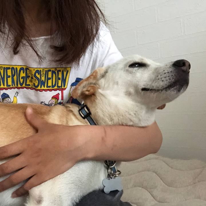 3c4d9492 c78d 443a 9f21 8b3fb93bda24 1628638382617