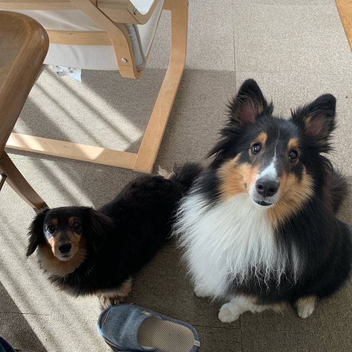 3c4db4eb 51d1 40b9 84c3 e743d8766c44 1560376894792