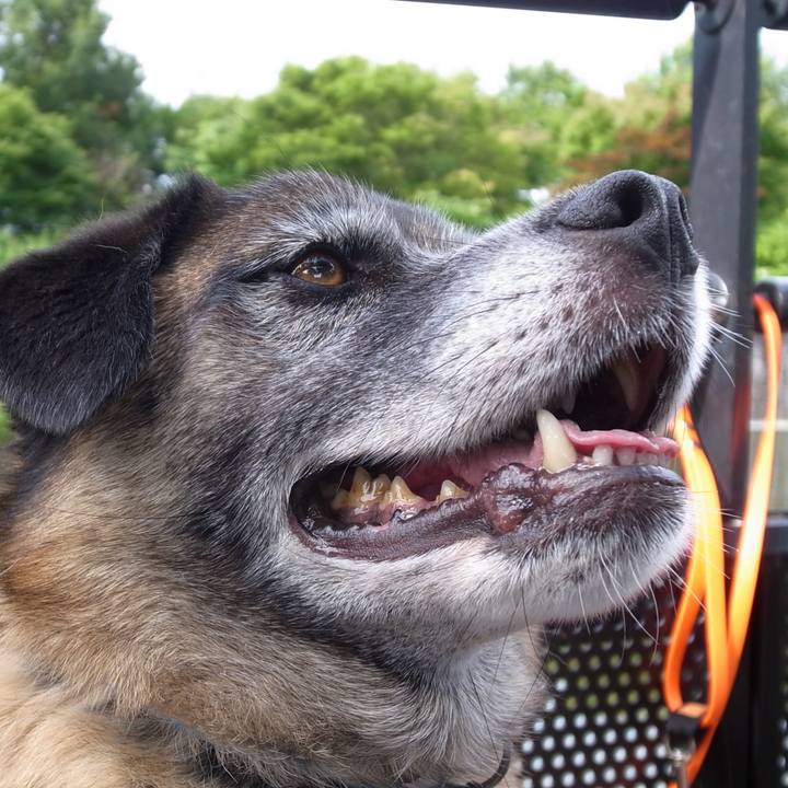 3c4db8f1 80ce 4ee3 a348 164b9b32cfc3 1582505331039