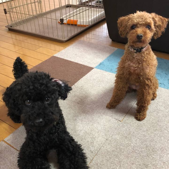 3c4dc5f9 2f22 4ab6 b2d1 74cd24d804a4 1531777385730