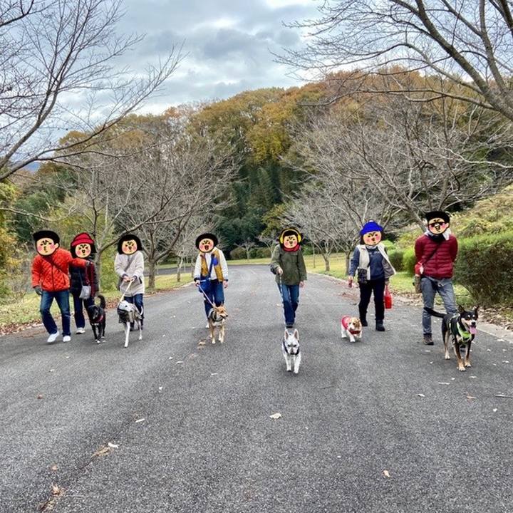 3c4dd5df 9667 4582 b25b 18a657d8e677 1637677689428