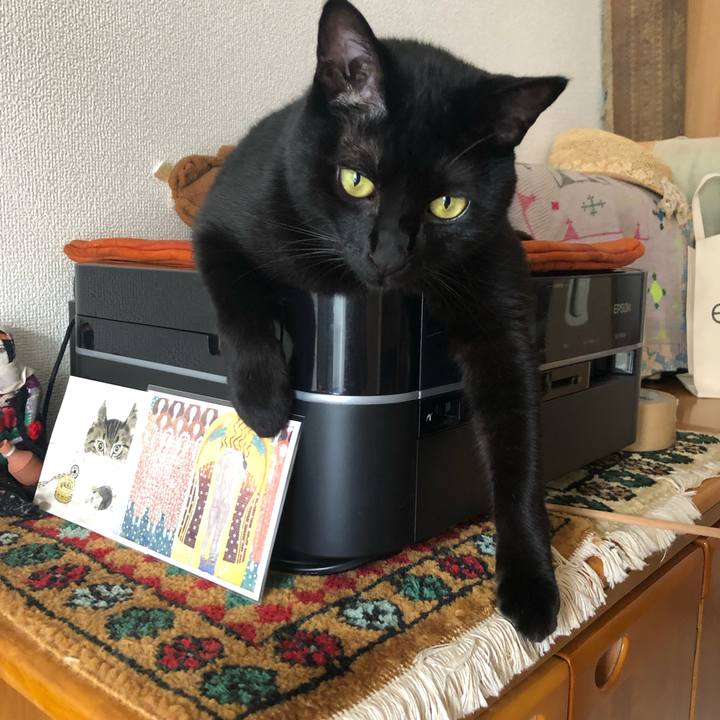 3c4deb36 ebf0 4615 826e 80054f7d2b3f 1565483481936