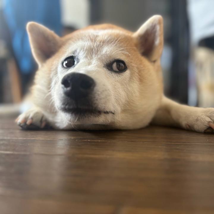 3c4e26ad 5601 4a8b 9ff6 6f40ff7f665b 1753561742429