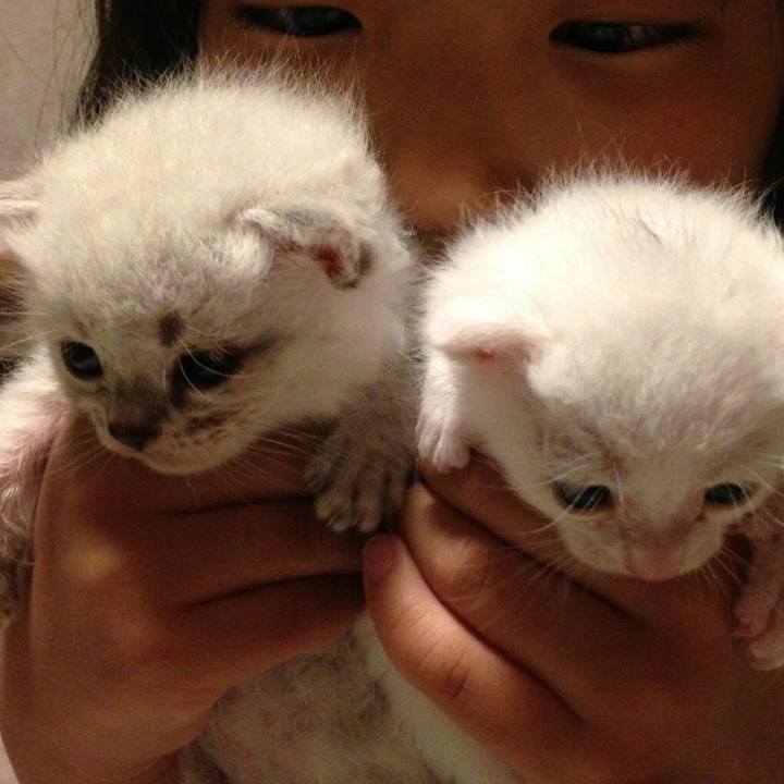 3c4e65b7 0bd3 4bec 9b70 1e0e8a8ddc79 1523581198942