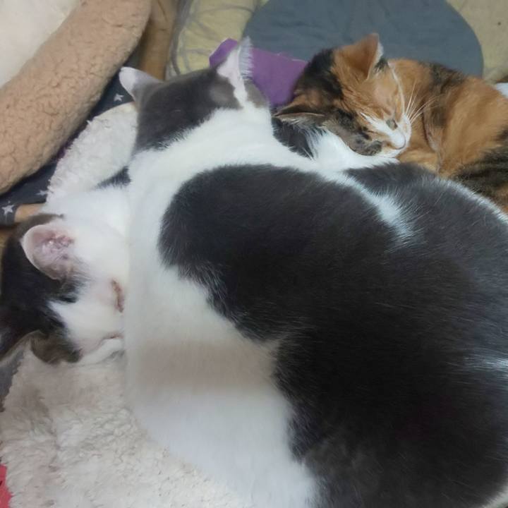 3c4e79cb 19f9 4b1e 809e 3bec0ea21bbb 1672388776202