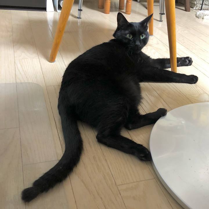 3c4ec156 c0e3 47ec 9be5 6e10ae2bc3f5 1612783269331