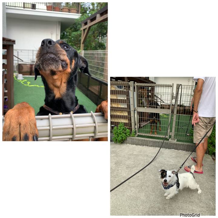 3c4f04db 4522 4173 b121 a8aad097f13e 1721984044197