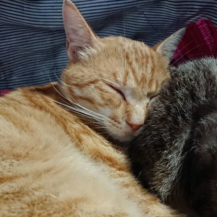 3c4f29fb e306 44ea a654 a5e1ee2f00d3 1561790312066