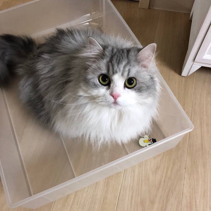 3c4f4ba6 fade 4511 ae72 d7645b7965c8 1547549425401