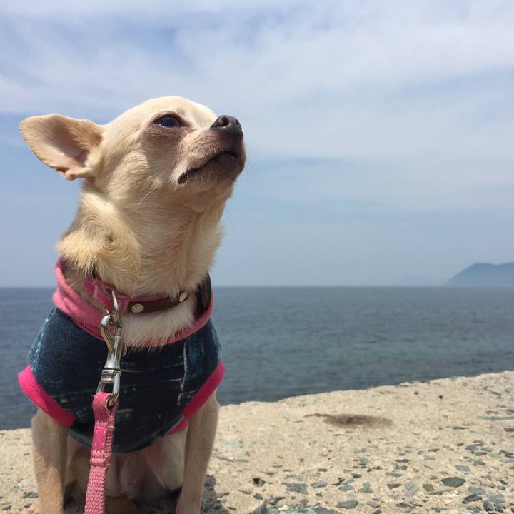 3c4f5005 35dd 4ef9 b75e 1661dcce0df4 1528019538703