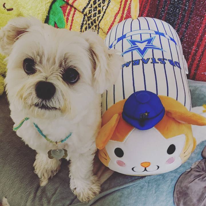 3c4f73d5 a1d4 4702 8a35 403980c6f461 1635769675175