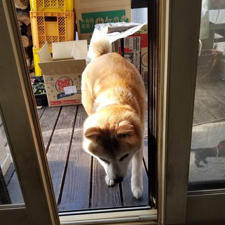 3c4f8c5e fa84 4423 9b98 799d32c6b7af 1743808299172