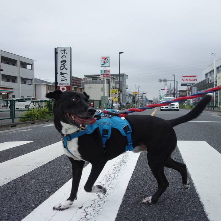 3c4fd142 273c 4d89 878c 8dad70da7f5d 1628727642938