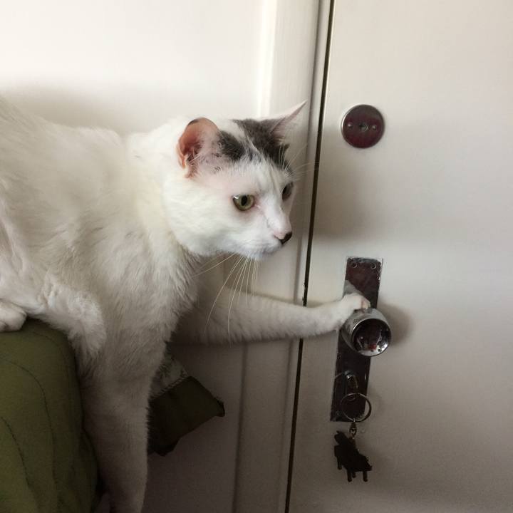 3c4ff329 aeb8 4f7c 89ed a660b3fbc425 1528502885343