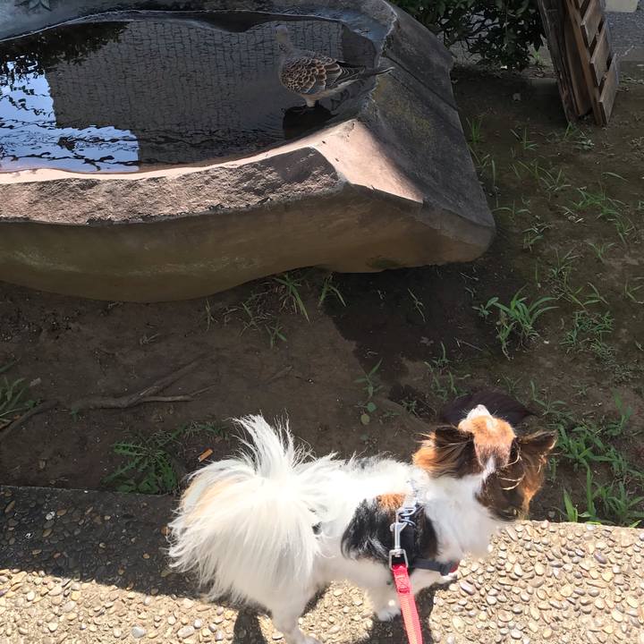 3c500c92 aadc 4263 b00c 1e257e742628 1567731274962