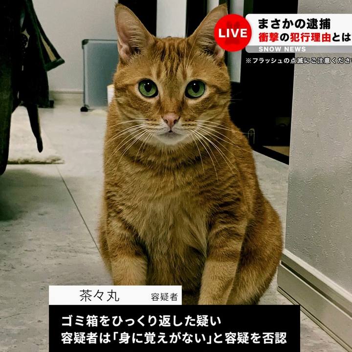 3c502b4c 7c4d 4a5c 908d ff0ad7e43f0f 1639744531407