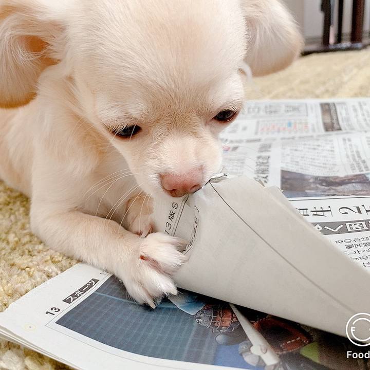 3c503354 ab4e 4c5c 8e8b 68aeb2fede3a 1596495976830