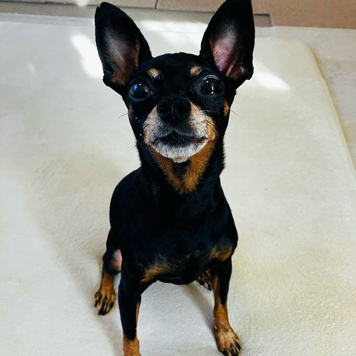 3c505608 26dc 4851 a279 93889c0f9d9b 1754225002810