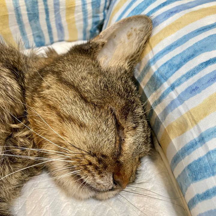 3c50769a c426 41d5 befb bf355b15923d 1689929501160