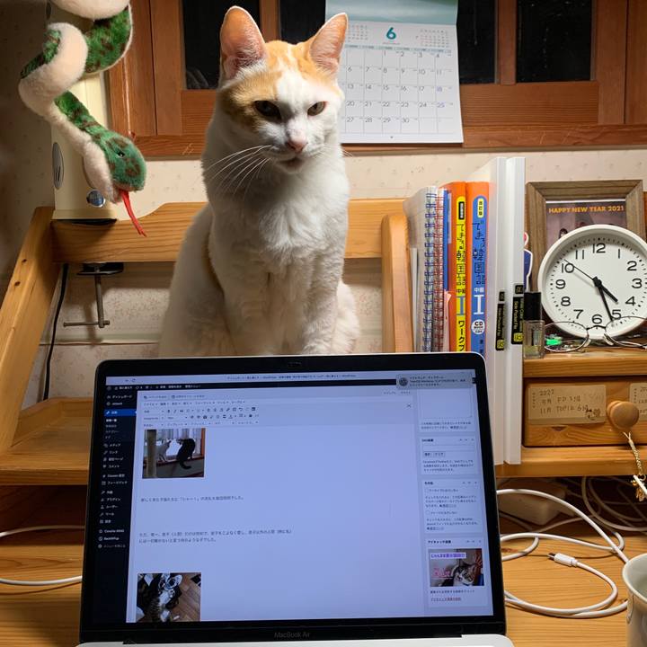 3c50abf5 215a 46c9 8248 2db0b219ed75 1655071089235