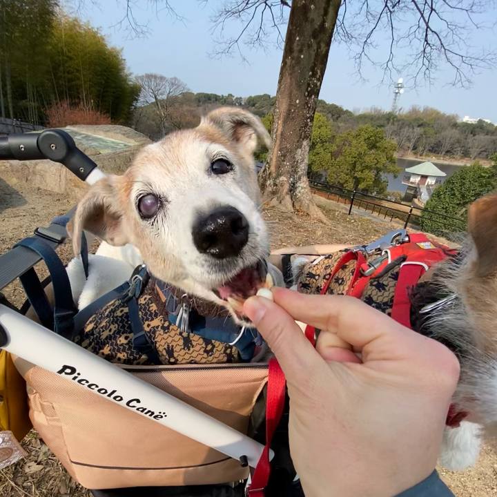 3c50f0ad 0f56 4a96 828d 910dee890107 1673249478563