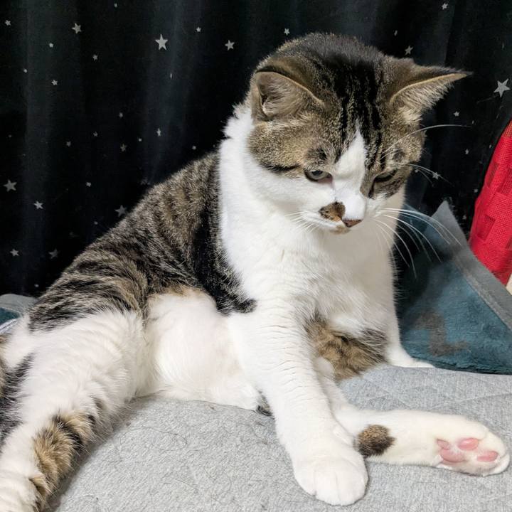 3c50f81d f802 470a a12b d7dc1f574147 1749355461680