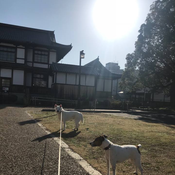 3c51012b e74a 4a12 91cb 67d5903f1f36 1520123778476