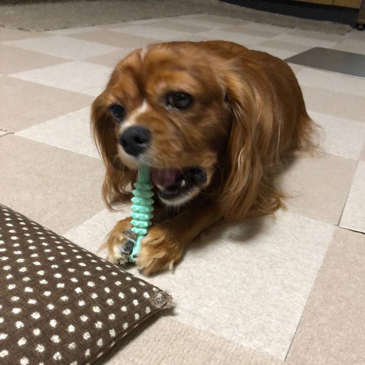 3c5145f6 427c 434a a02d cbd5bd291aab 1567721596374