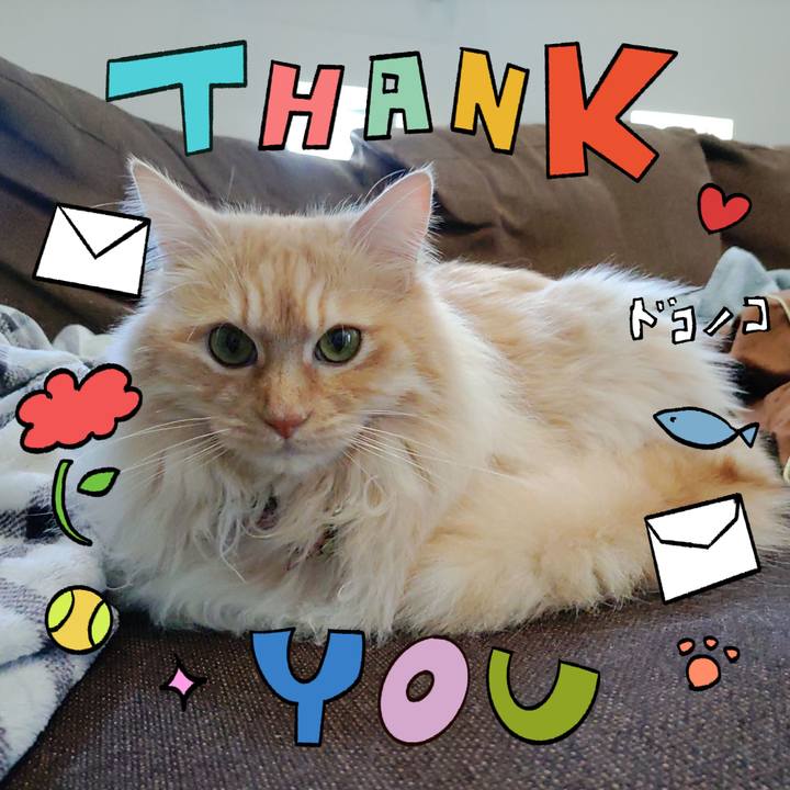 3c5168f1 e62b 49fc 8417 d7e92e0a624c 1714913419864