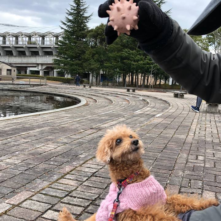 3c51a525 3b3c 4f56 8c15 d0e4fec81a81 1582544053094