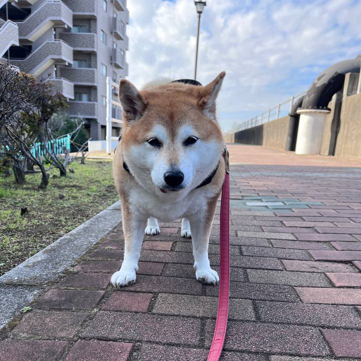 3c51b07d 3cea 4c34 8e8b 6d5a0aaa59f7 1703903522992