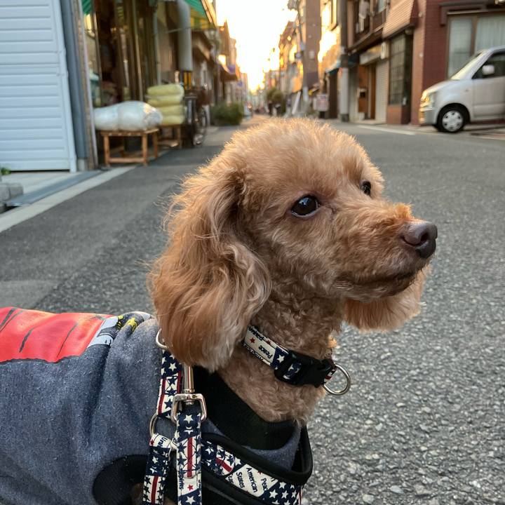 3c51e8d1 493d 4415 addc 7baa849c8d93 1669097444657