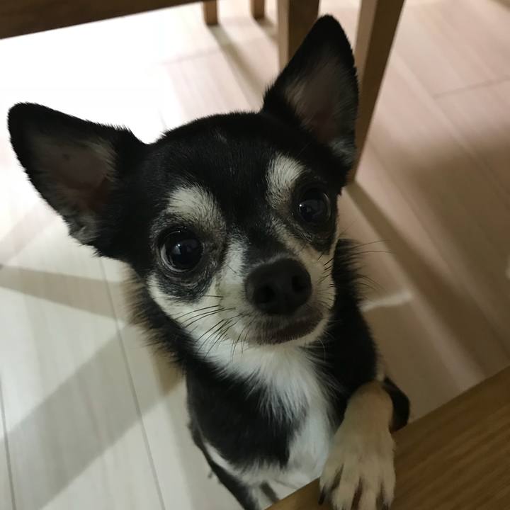 3c51e8f8 6179 4cd9 85c3 66a4040dea8e 1520602166802