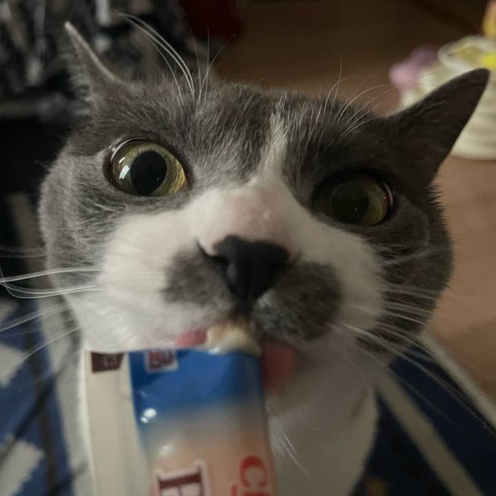 3c51ec08 dfea 48a7 b74e 47956b93e9e9 1681800954452