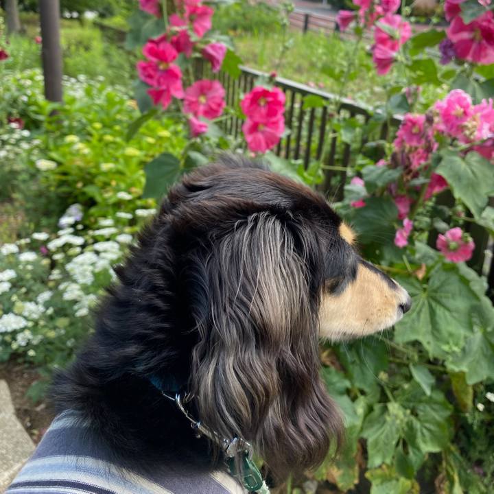 3c523a0b 8bff 4cb7 a331 ee914f89c559 1685664083059