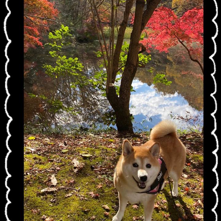 3c52514d ae1b 4dc8 a30b f4f2dd19555d 1637645878422