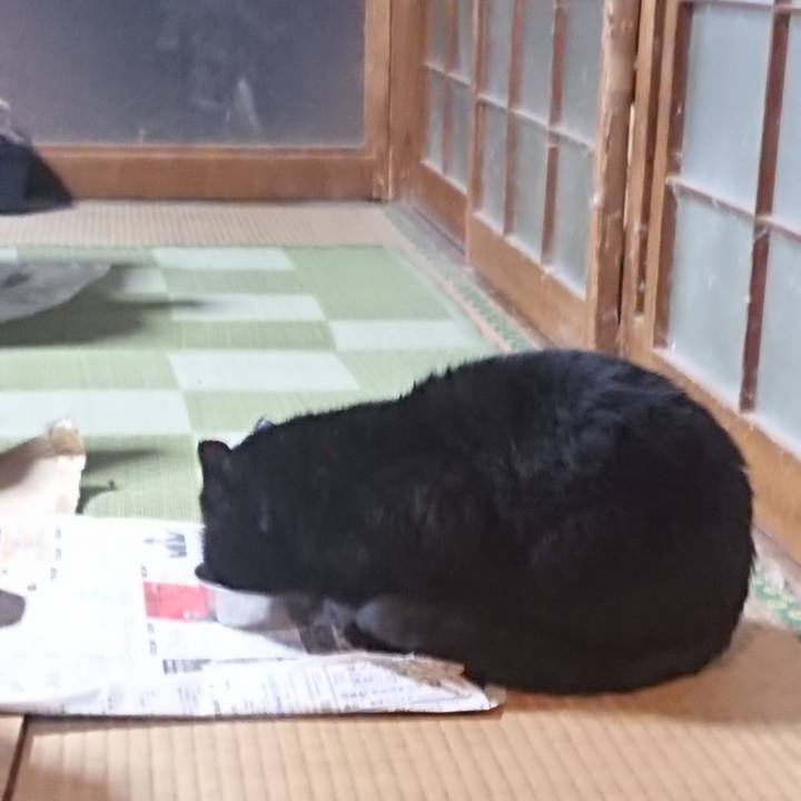 3c529a42 4d44 41b5 b2c7 1b7a14e661c4 1615642704666