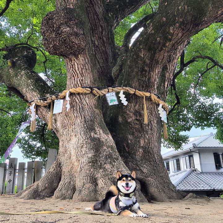 3c532a43 3209 4048 ac32 144e7cefb5e0 1758626198284