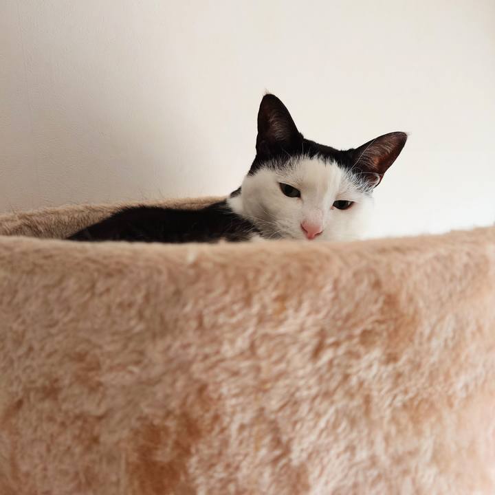 3c534b4f 954d 44f0 b6e7 edcdb0d6f985 1709433205103