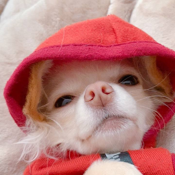 3c534e0f 2100 4da7 8fcb d7fb97171d28 1607821072737