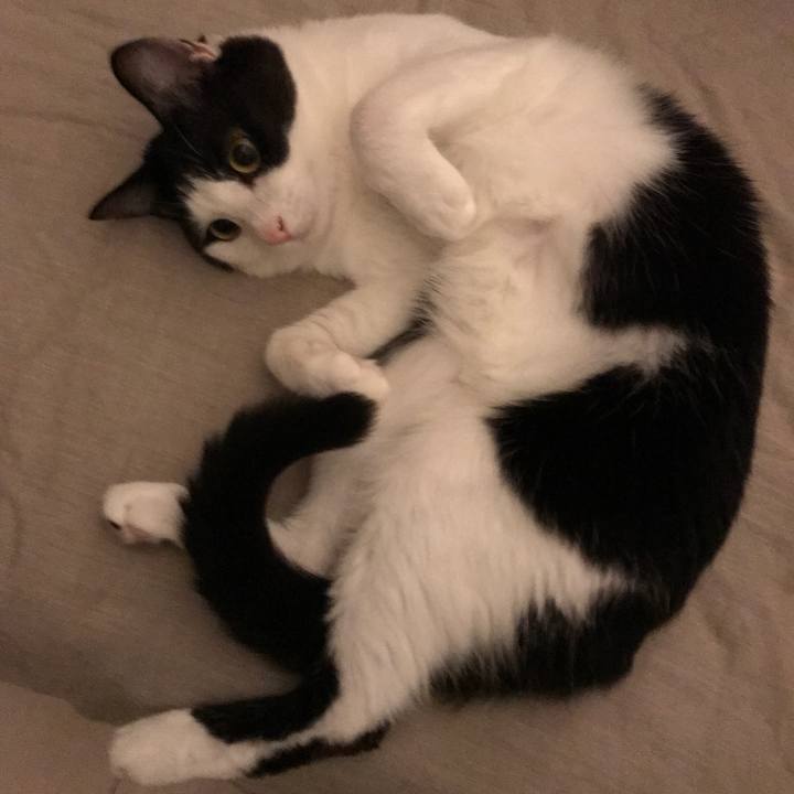 3c535112 c67a 4425 bb14 89faa00e8c6b 1528288090264