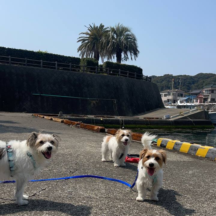 3c538ff9 65ab 4002 8f9b c6d79d3b286c 1774782914781