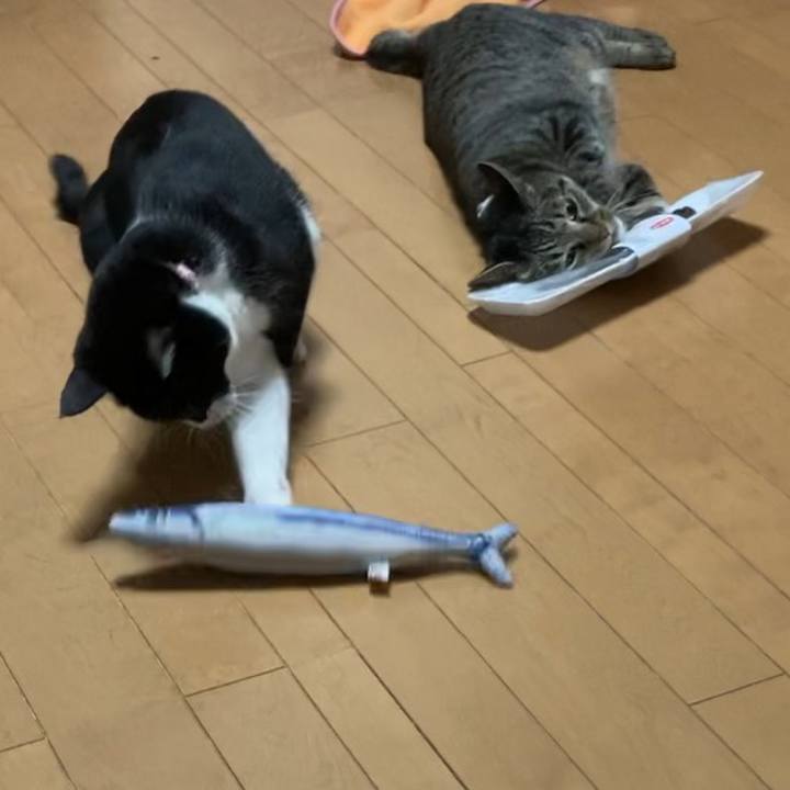 3c53a0a4 b4c2 4d68 b890 a02b557b4eb3 1627159887192