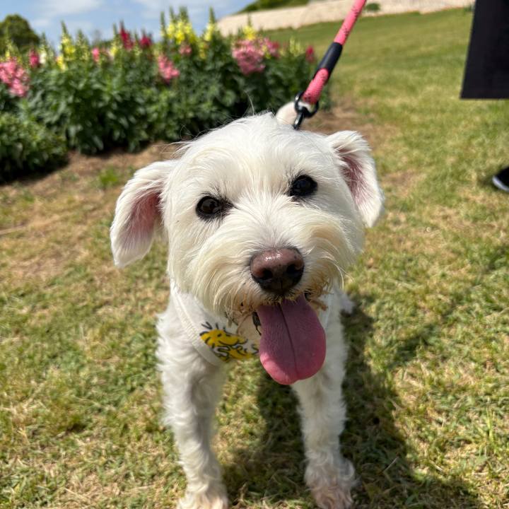 3c53a7d5 38ce 473c 8d8d 5411ae85f4cc 1766893968837