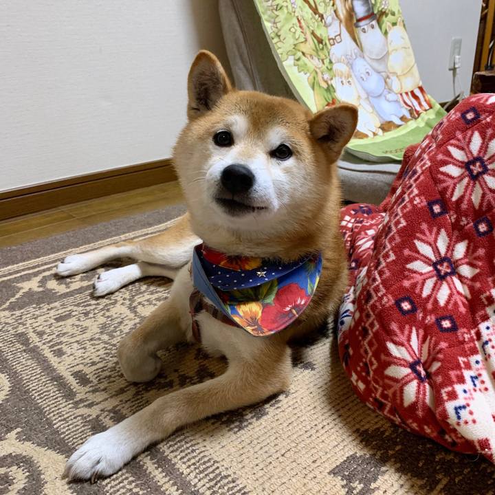 3c53fb53 b893 4eea abd8 2476976a1769 1576315166182