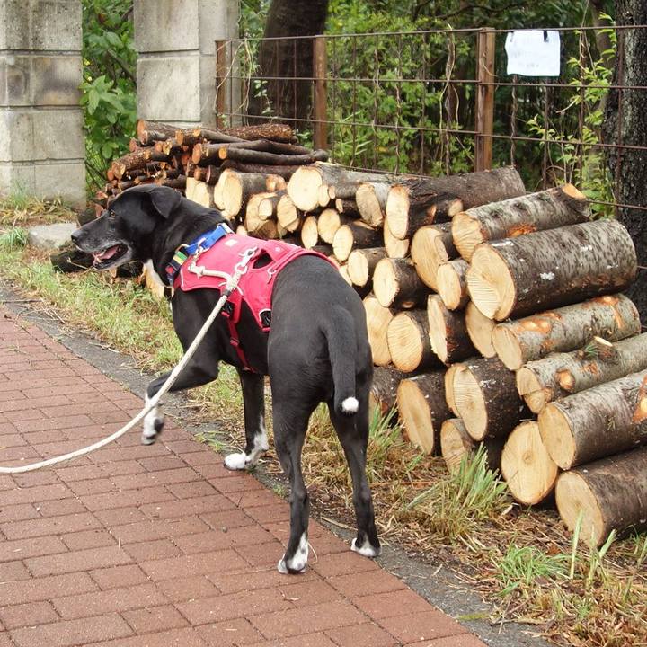 3c542dfa e8ec 4a28 ad10 a27c9c1f4df5 1679622098722