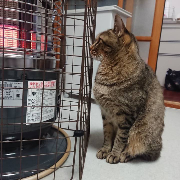 3c54389d 4582 43ef b993 448270dee3ce 1607928510574