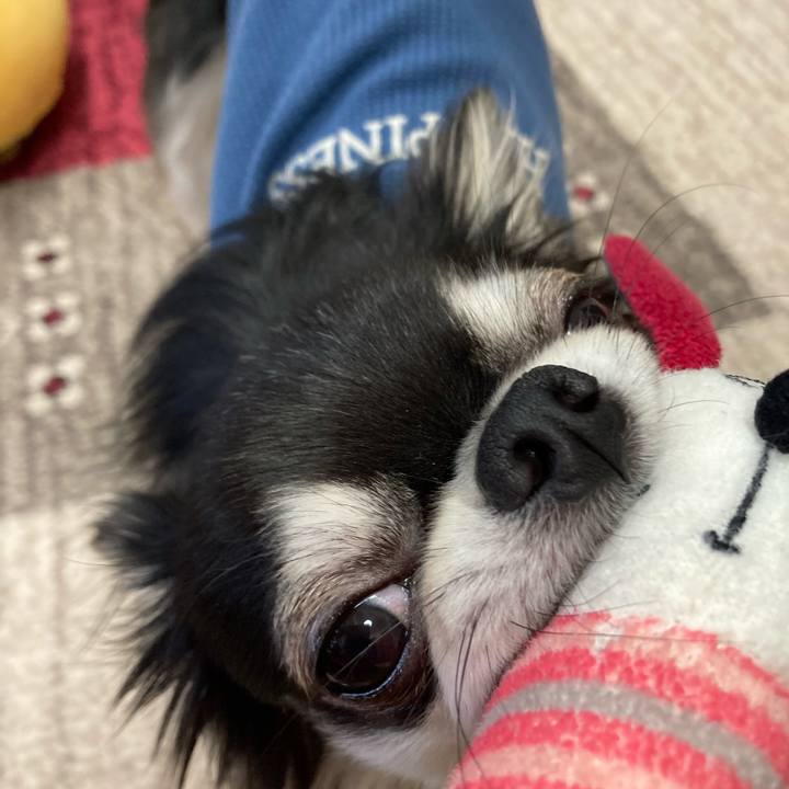 3c544969 04f2 4536 bdef 12b9064e9a4d 1617544546444