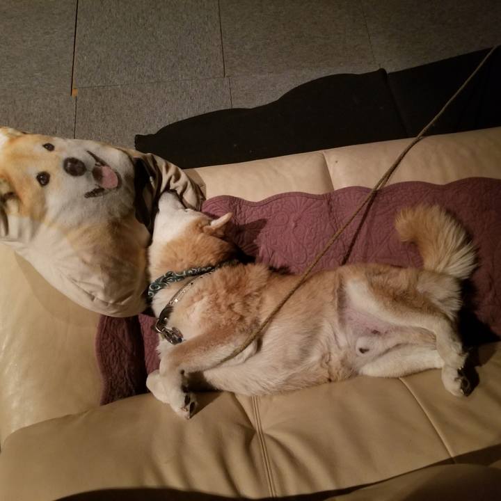 3c54553f ea11 4924 afe3 cfab422db9eb 1705931720138