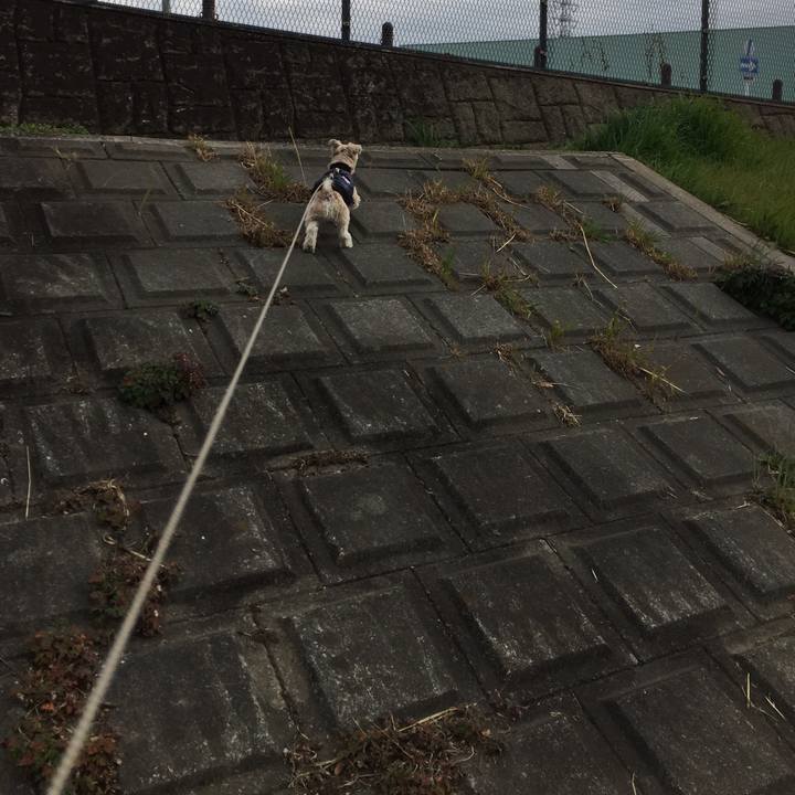 3c546583 aaa5 4130 837e b138cd965bca 1549344722328